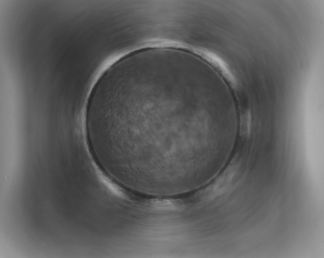 X0000111511231200907211156