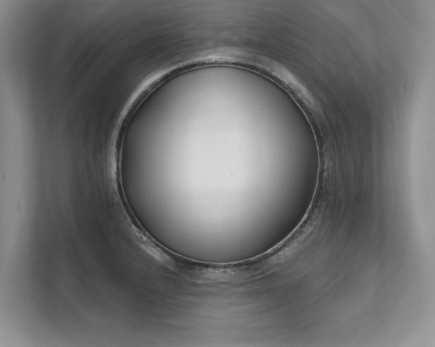 X0000111511232200907211156