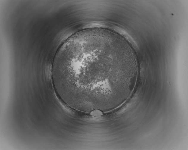 X0000111511233200907211156