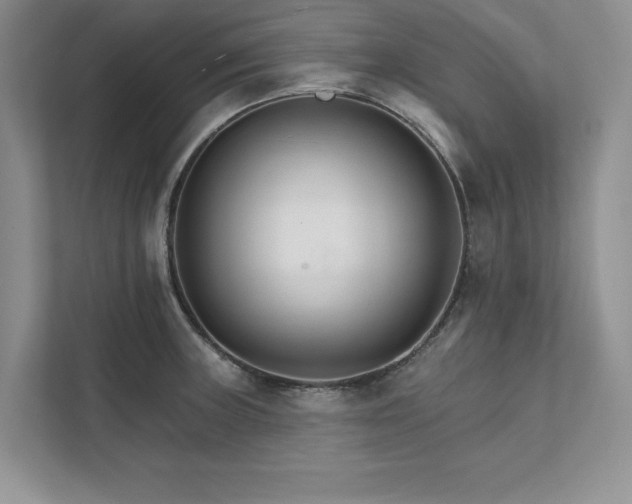 X0000111511235200907211156