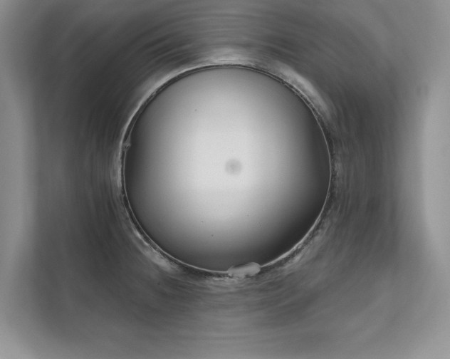 X0000111511236200907211156