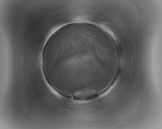 X0000111511239200907211156