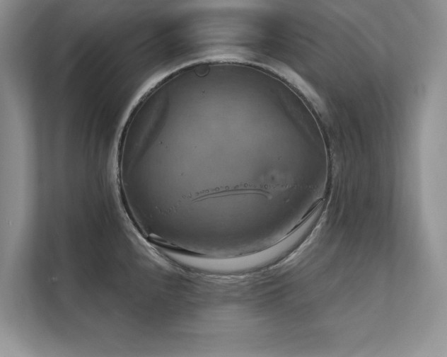 X0000111511240200907211156