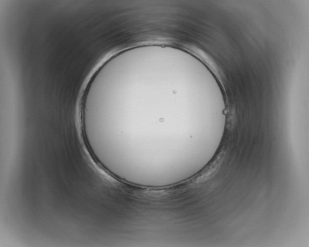 X0000111511243200907211156