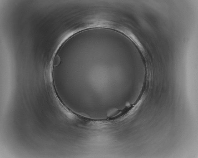 X0000111511246200907211156