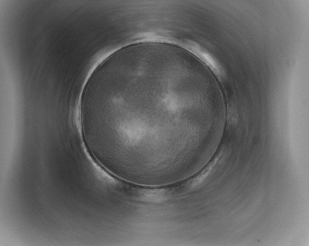 X0000111511247200907211156