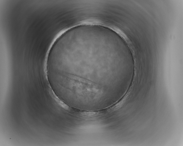 X0000111511248200907211156