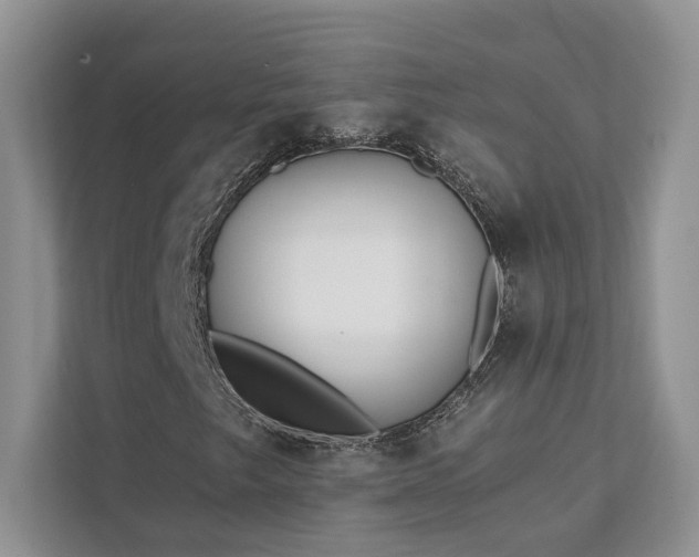 X0000111511249200907211156