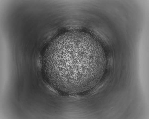 X0000111511250200907211156