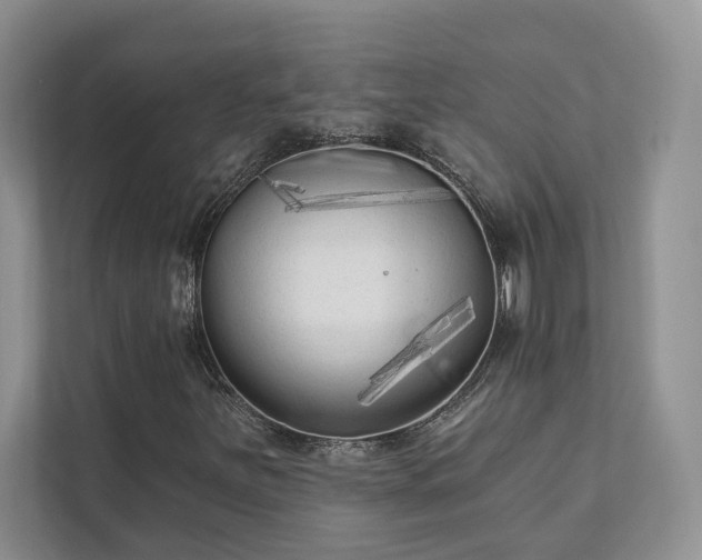 X0000111511251200907211156
