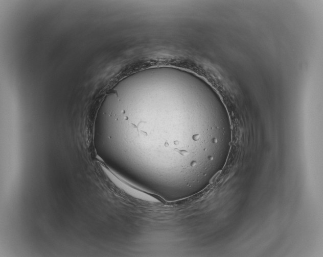 X0000111511253200907211156