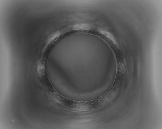 X0000111511254200907211156