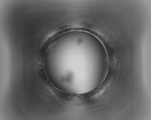 X0000111511255200907211156