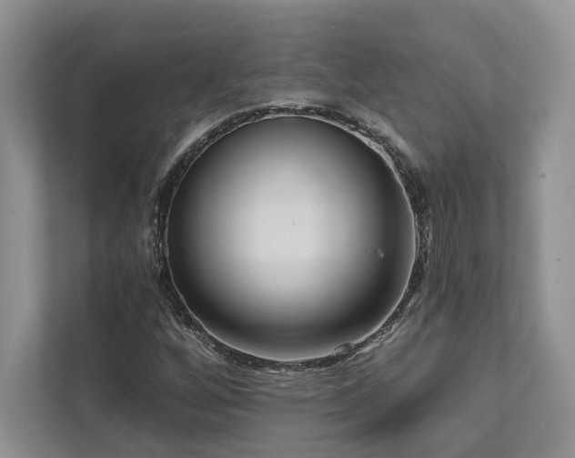 X0000111511256200907211156