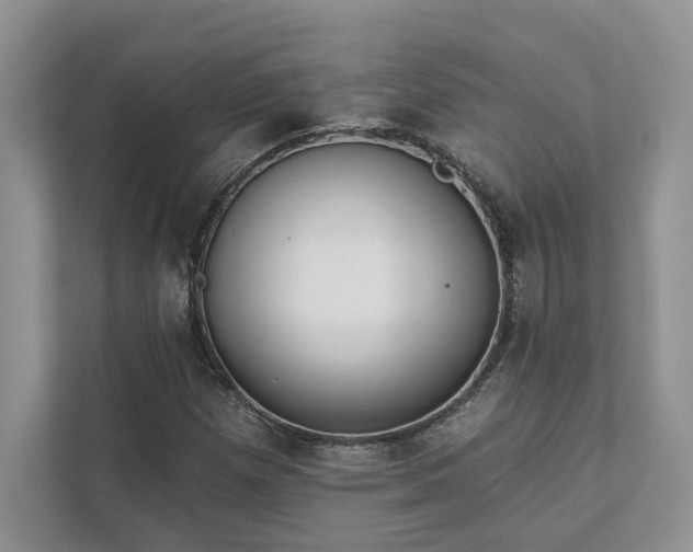 X0000111511257200907211156