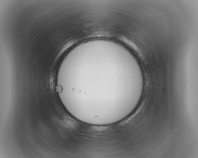 X0000111511258200907211156