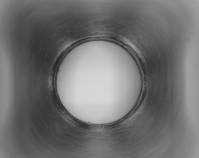 X0000111511259200907211156
