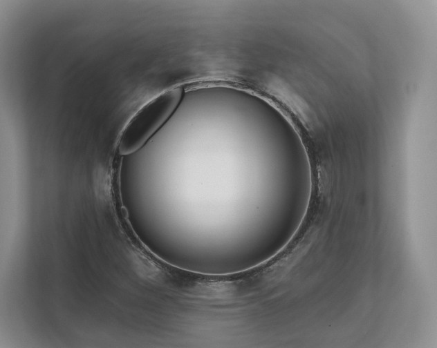 X0000111511260200907211156