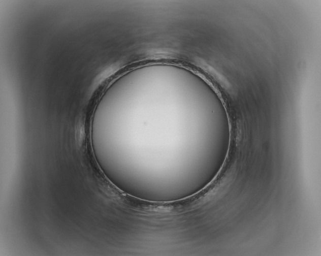 X0000111511261200907211156