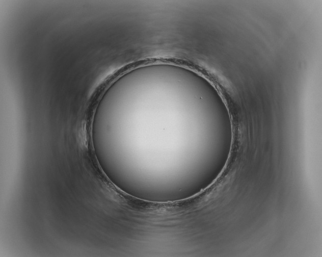 X0000111511262200907211156