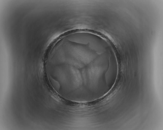 X0000111511263200907211156