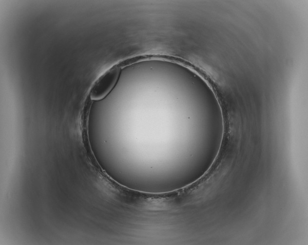 X0000111511264200907211156