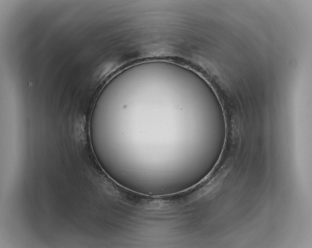 X0000111511265200907211156