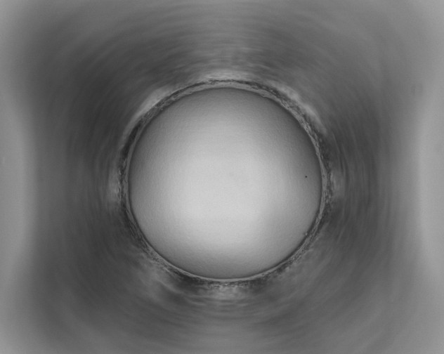 X0000111511266200907211156