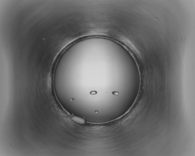 X0000111511268200907211156