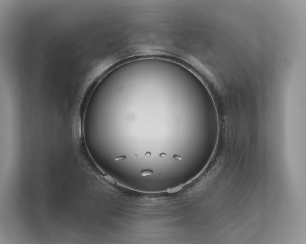X0000111511269200907211156