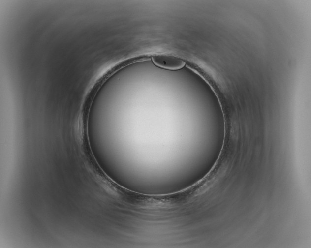 X0000111511270200907211156