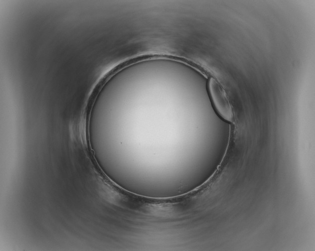X0000111511272200907211156
