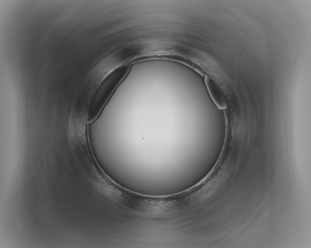 X0000111511273200907211156