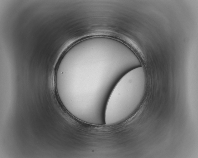 X0000111511275200907211156