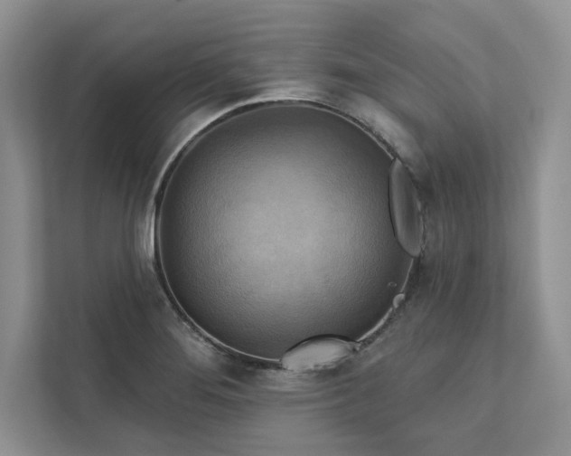X0000111511276200907211156