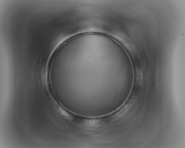X0000111511278200907211155