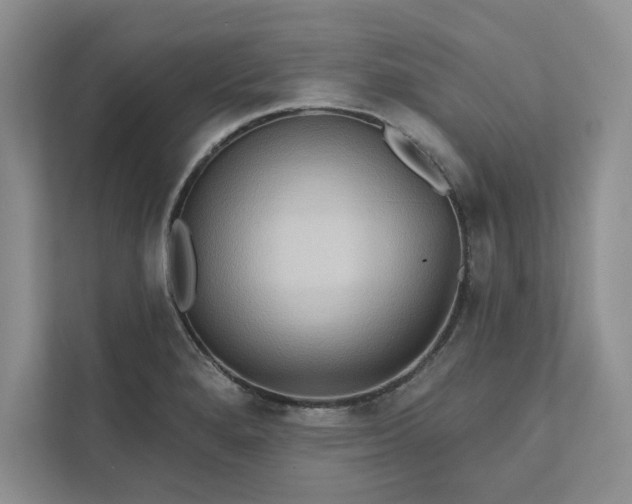 X0000111511280200907211155
