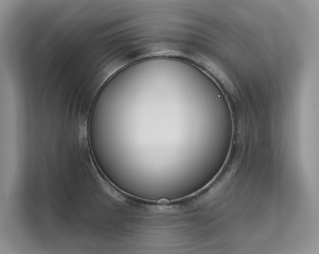 X0000111511281200907211155