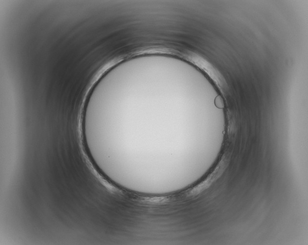 X0000111511282200907211155