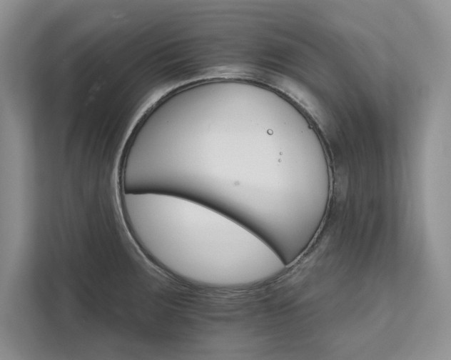 X0000111511283200907211155