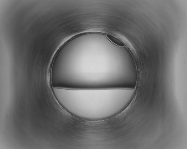 X0000111511284200907211155