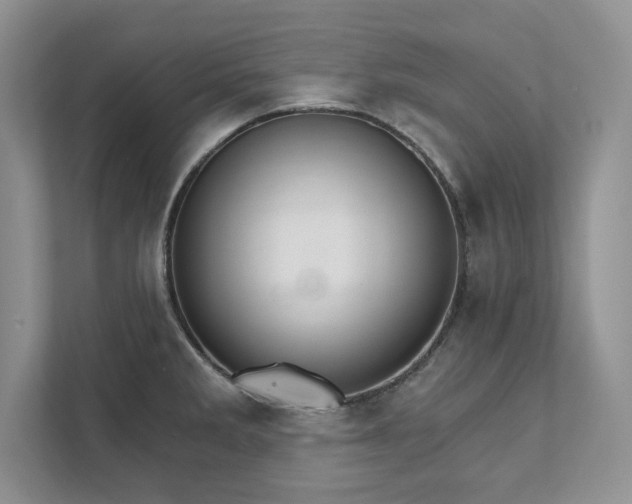 X0000111511285200907211155