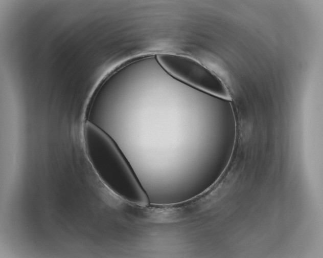 X0000111511288200907211155
