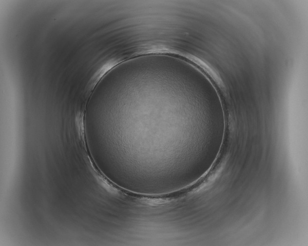 X0000111511289200907211155