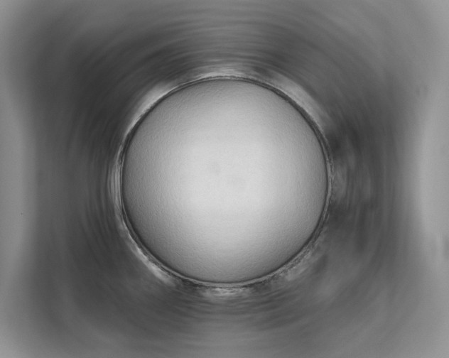 X0000111511290200907211155