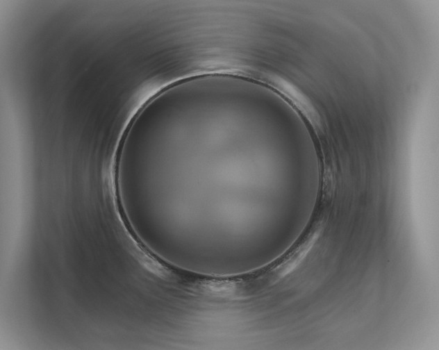 X0000111511291200907211155
