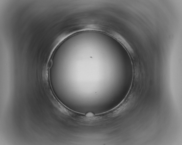 X0000111511292200907211155