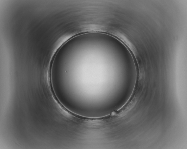 X0000111511293200907211155