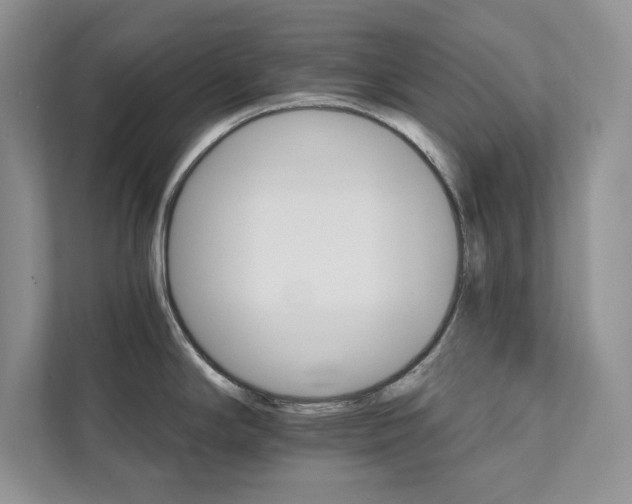 X0000111511294200907211155