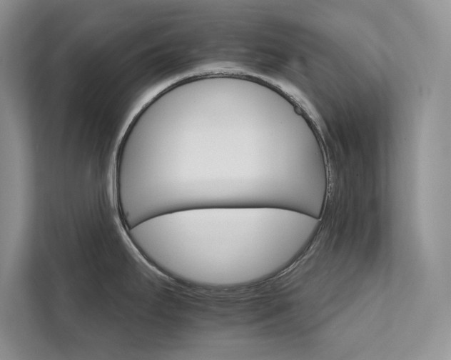 X0000111511295200907211155